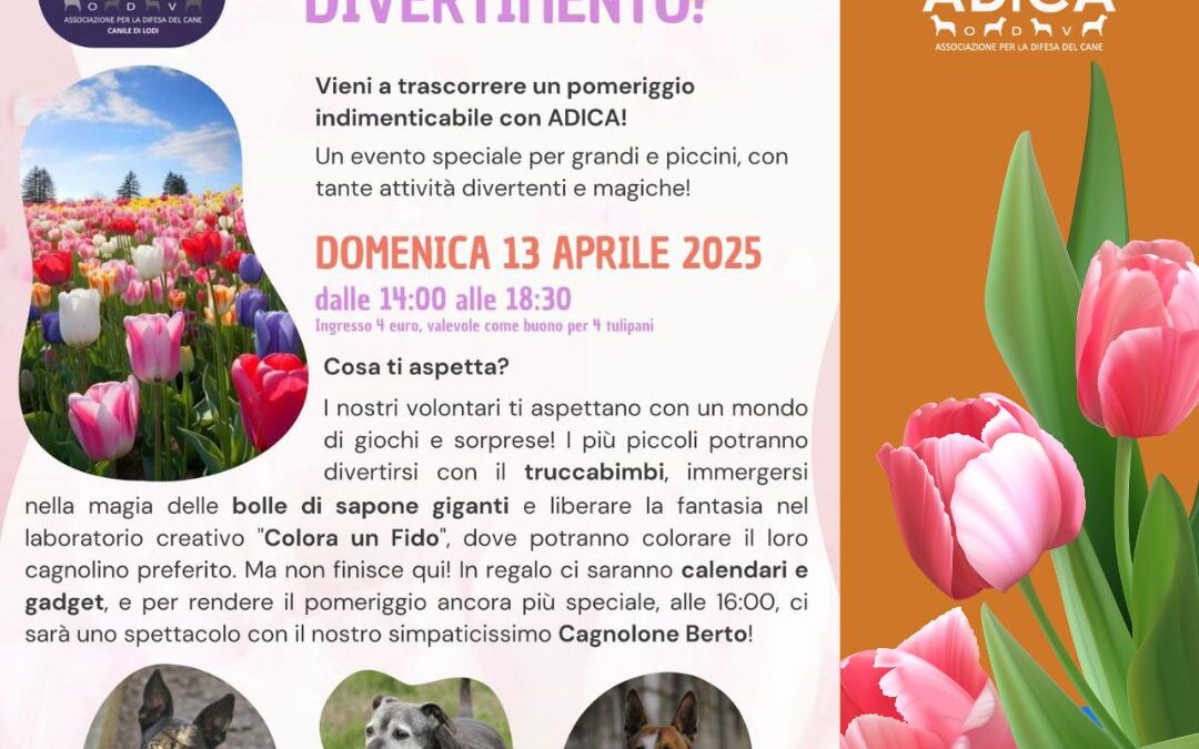 Primavera al Ceraseto