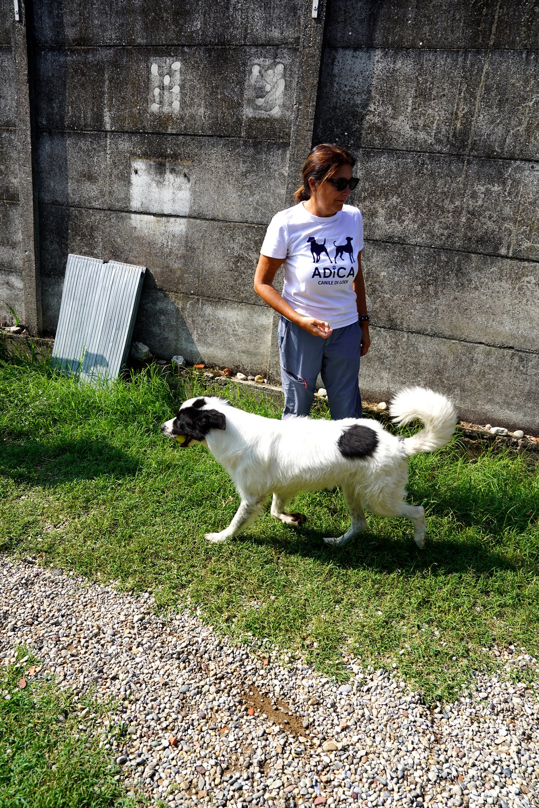 Gal cerca casa con ADICA