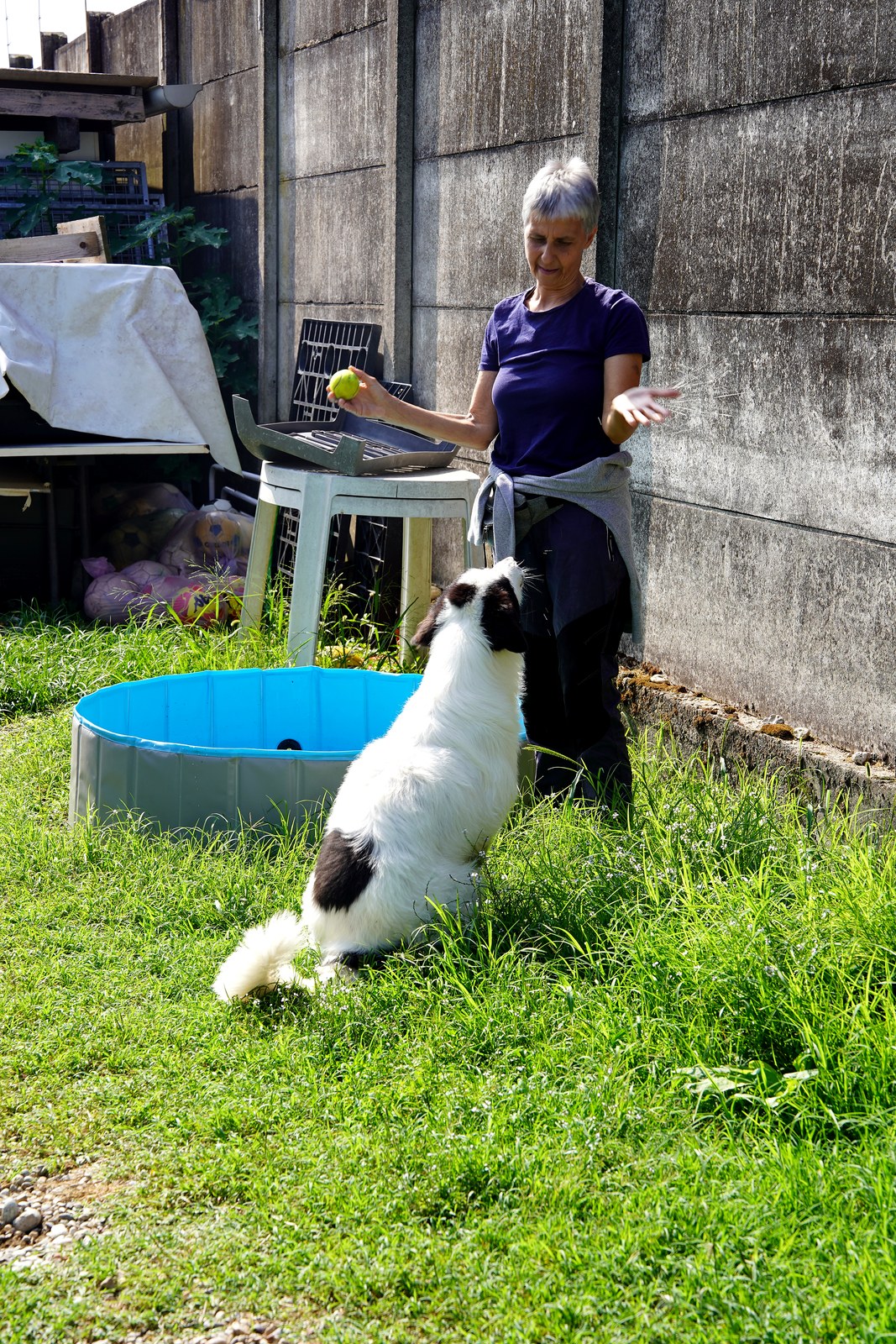 Gal cerca casa con ADICA